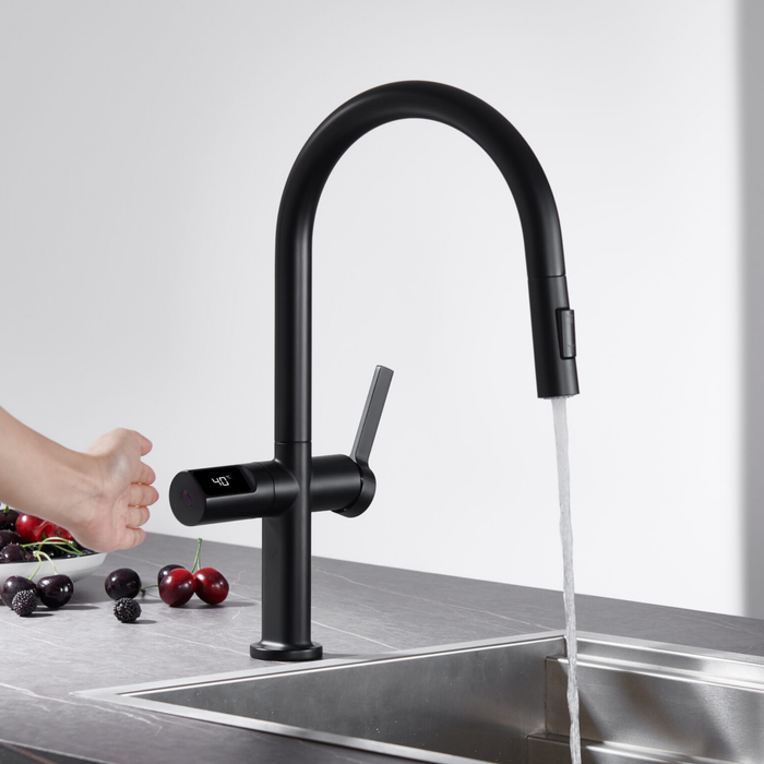 Mitigeur de Cuisine TURIN - Sanizeo