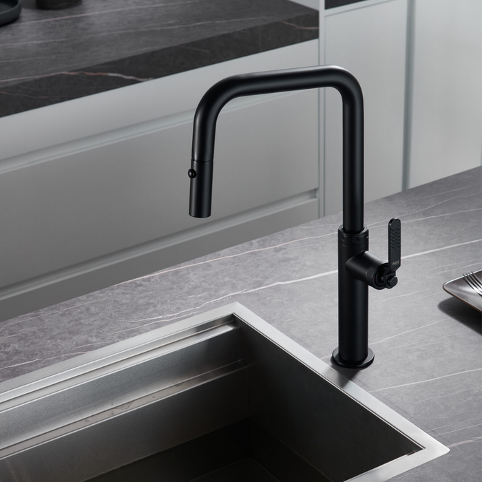 Mitigeur de Cuisine NIZA - Sanizeo